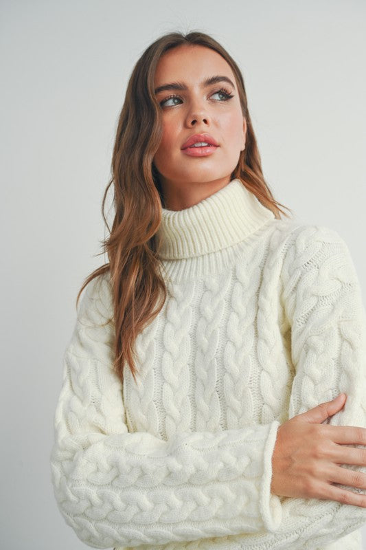 Braided Turtleneck Sweater (Ivory)